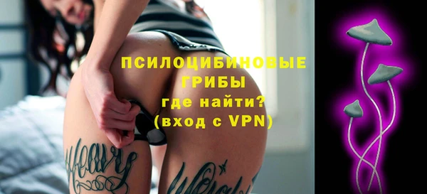 хмурый Алексеевка